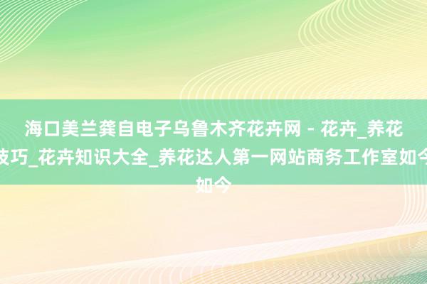 海口美兰龚自电子﻿乌鲁木齐花卉网 - 花卉_养花技巧_花卉知识大全_养花达人第一网站﻿商务工作室如今
