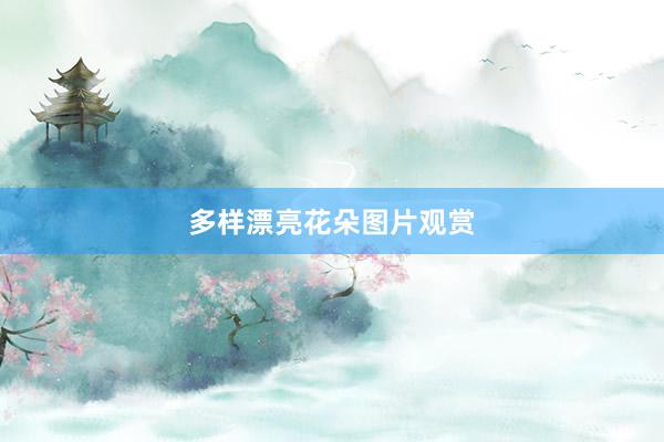 多样漂亮花朵图片观赏