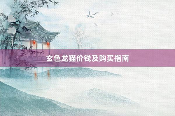 玄色龙猫价钱及购买指南